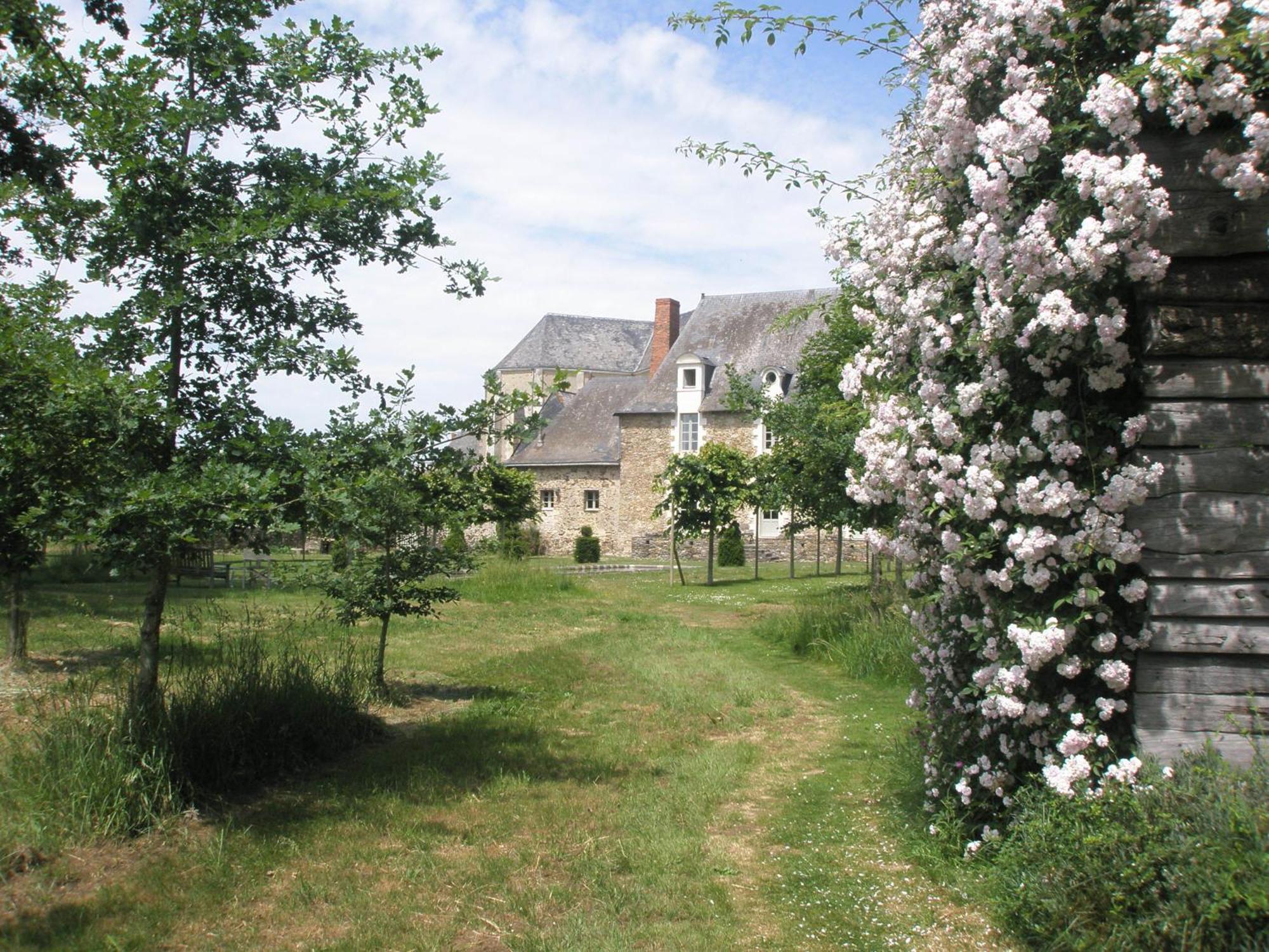 Bed and Breakfast Grange Du Plessis Segré Exteriér fotografie